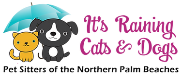 IRCD Horizontal Logo Transparent for web